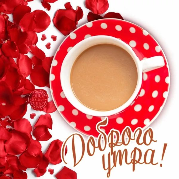 Букет цветов с добрым утром