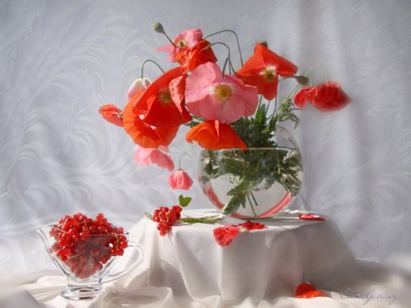 Стикеры с добрым утром красивые