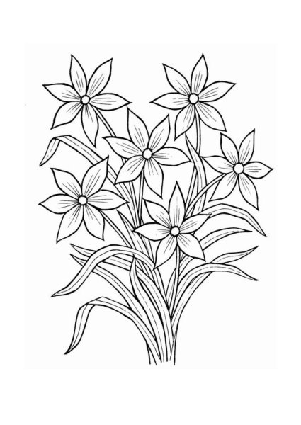 Раскраски цветы розы букеты