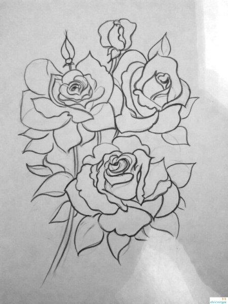 Букет для срисовки