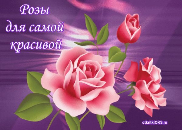 Розы для самой красивой девушки