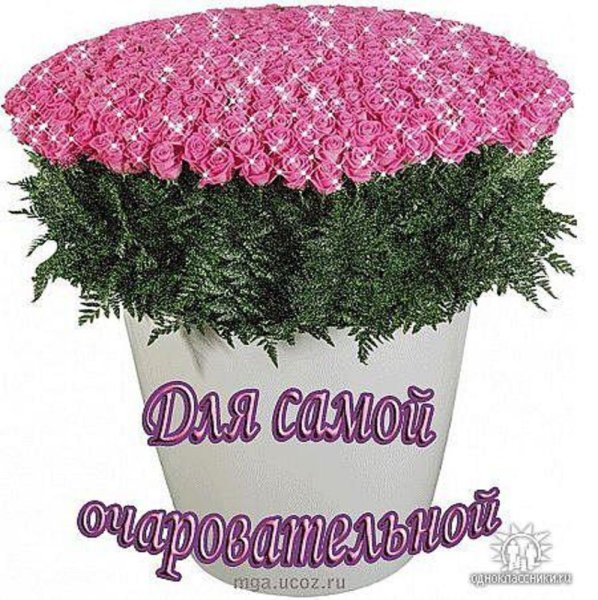Цветы для самой красивой