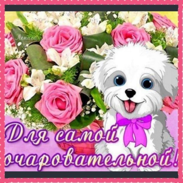 Цветы для самой