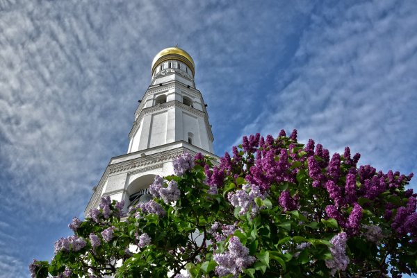 Храмы сирень в Москве