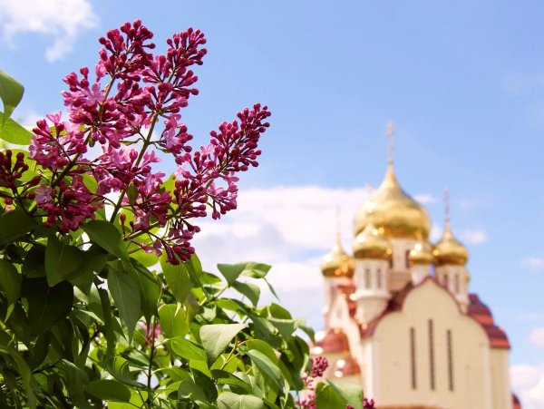 Православные храмы в цветах