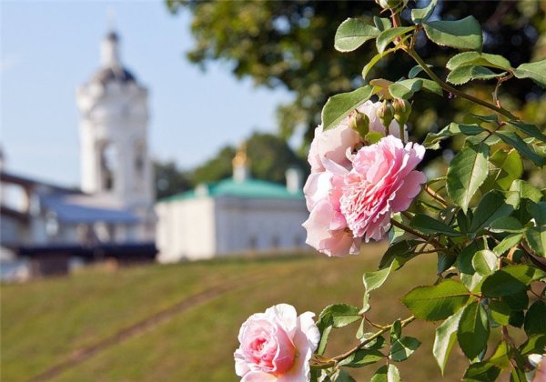 Тервенический монастырь пионы