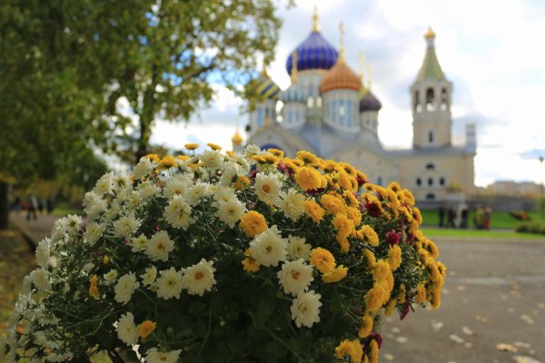 Цветы в храме