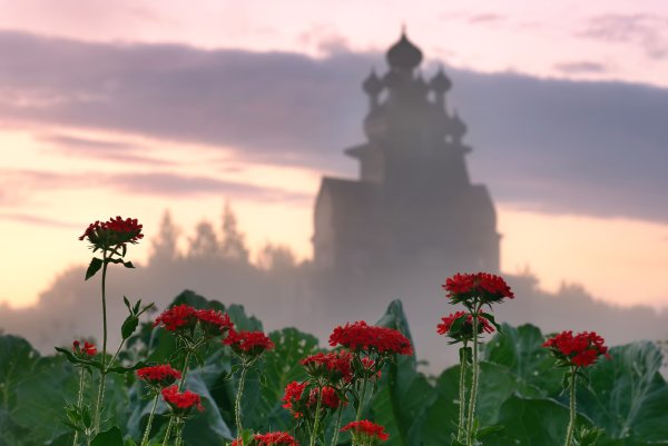 Храм в цветочном поле