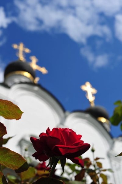 Церковь цветы