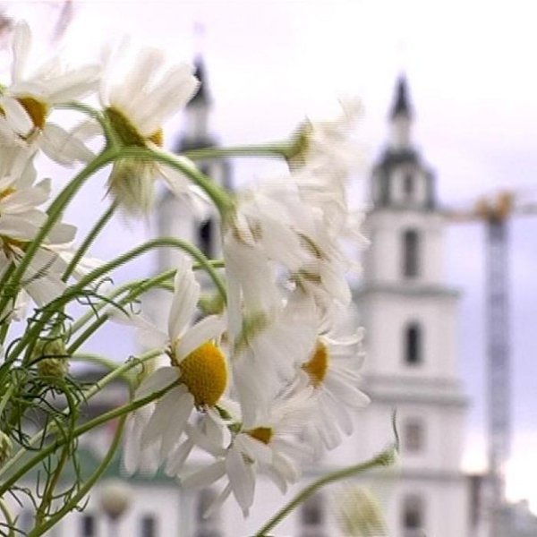 Церковь ромашки