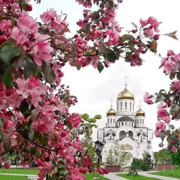 Церковь в цветах