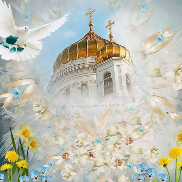 Голуби на фоне храма