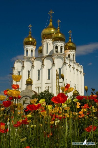 Красивый храм весной