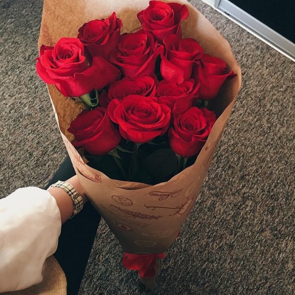 Красивые розы в руках