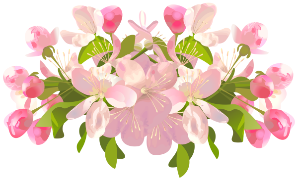 Лилия Пинк блоссом