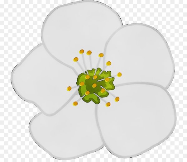 Ветка яблони