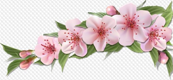 Майская веточка яблони сбоку