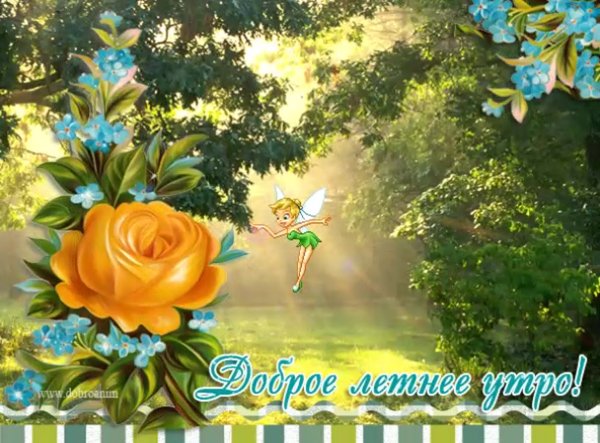 Утро Весна цветы
