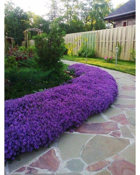 Рабатка бордюр миксбордер