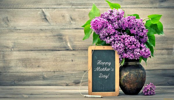 Сирень Дюк де масса