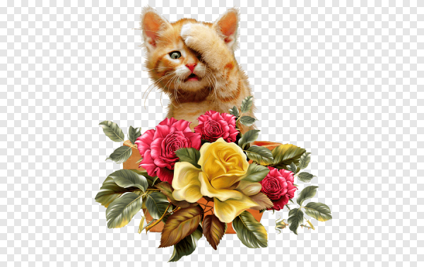 Котенок с букетом цветов