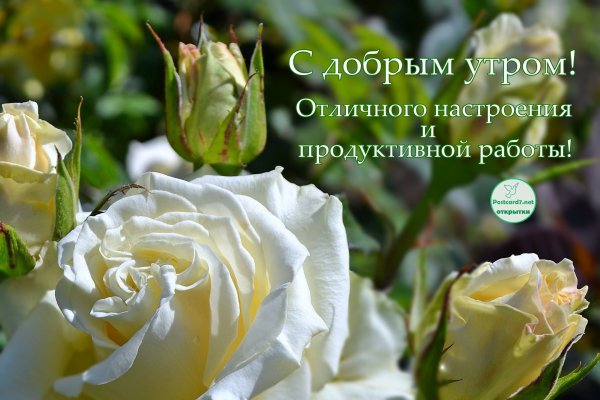 Открытки с добрым утром с цветами