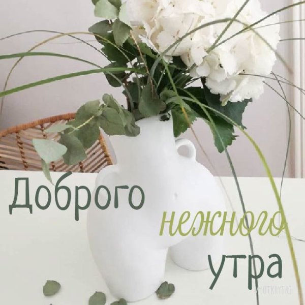 Хорошего дня и отличного настроения пионы