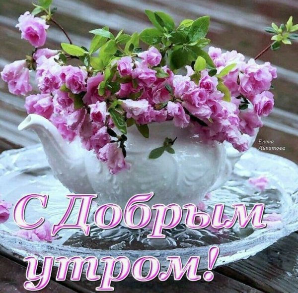Красивые нежные пожелания