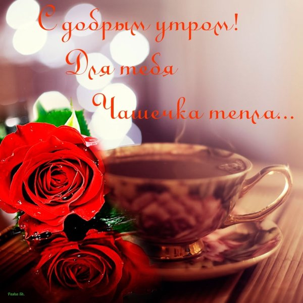 Розы в чашке