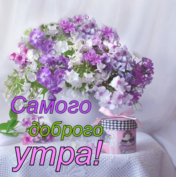 Красивые поздравления с добрым утром с цветами
