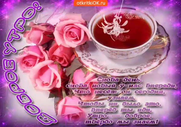 Красивые открытки с ромашками