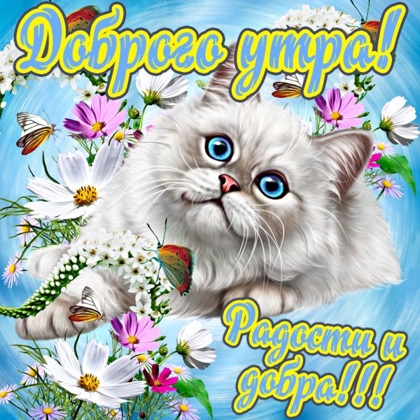 Открытки с пожеланием доброго утра