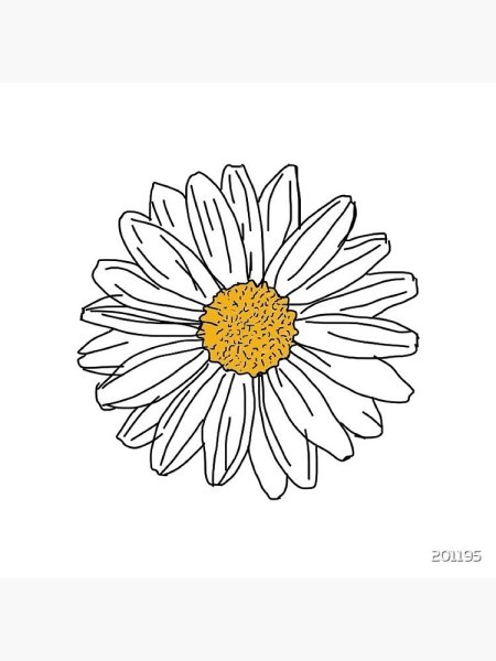 Ромашка для срисовки карандашом