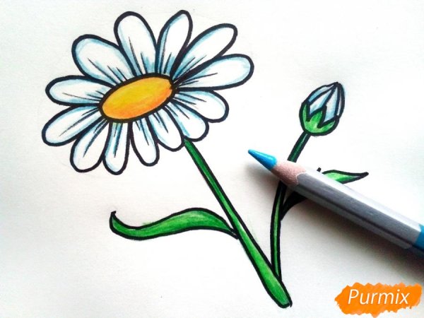 Ромашка для рисования