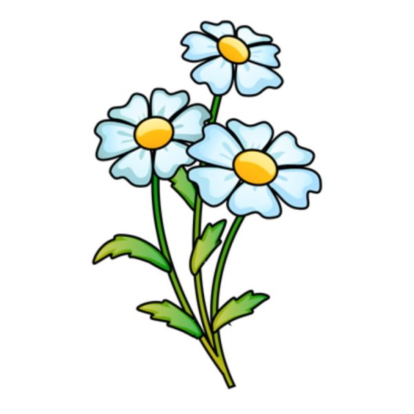 Ромашка рисунок карандашом