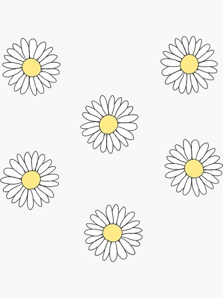 Ромашка рисунок карандашом