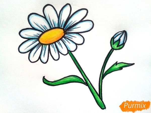 Ромашка рисованная на прозрачном фоне