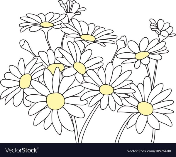 Ромашка раскраска