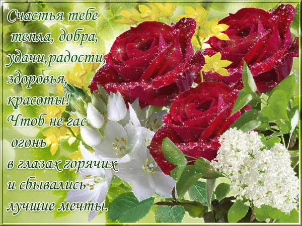 Красивые цветы с пожеланиями здоровья