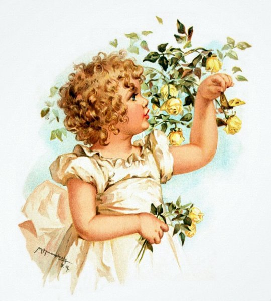 Alexander Sharpe Ross