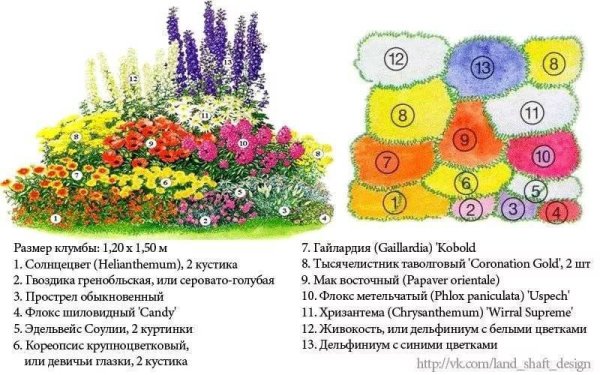 Цветник миксбордер непрерывного цветения схема
