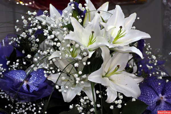 Шикарный букет лилий