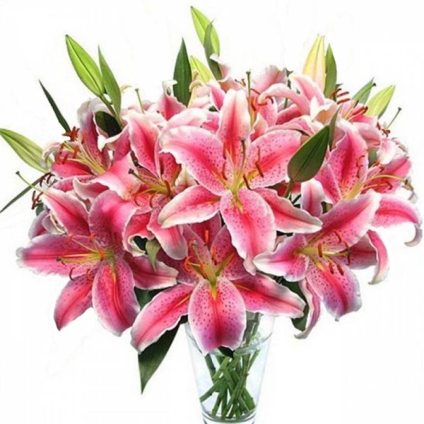 Букет лилий штурм