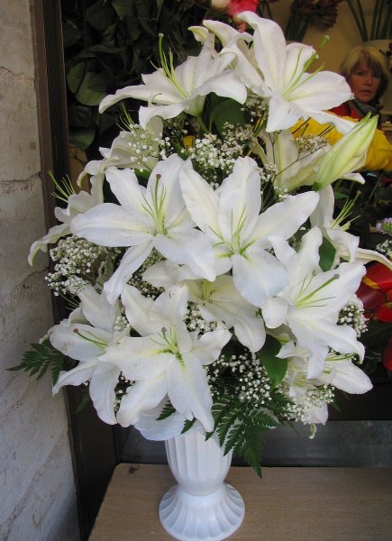 Лилия кустовая белая