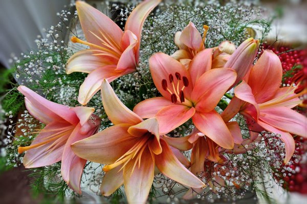 Красивые букеты лилии