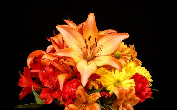 Букет разноцветных лилий