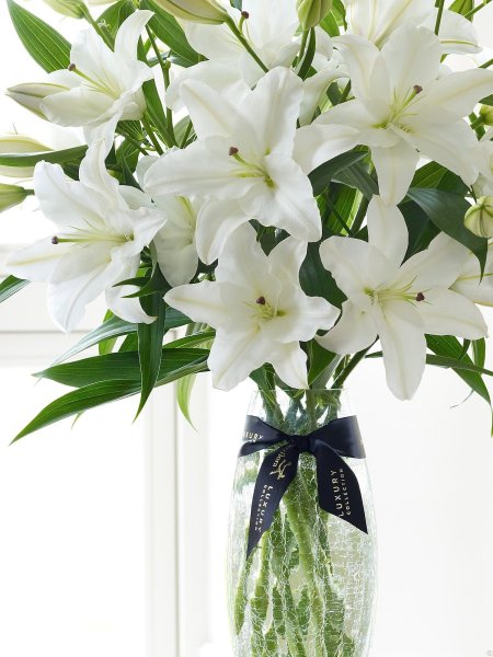 Лилия Шардонэ