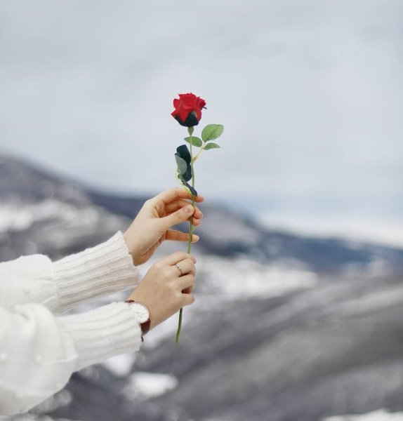 Красивые цветы в руках