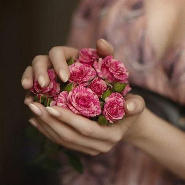 Дневник роза в руке