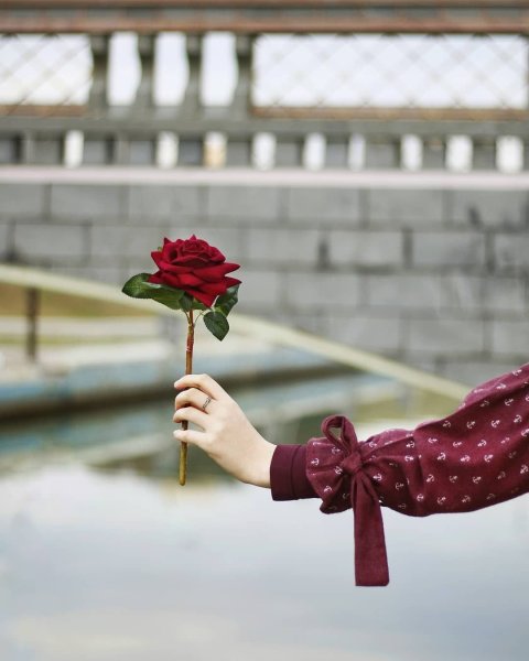 Красивый букет в руках